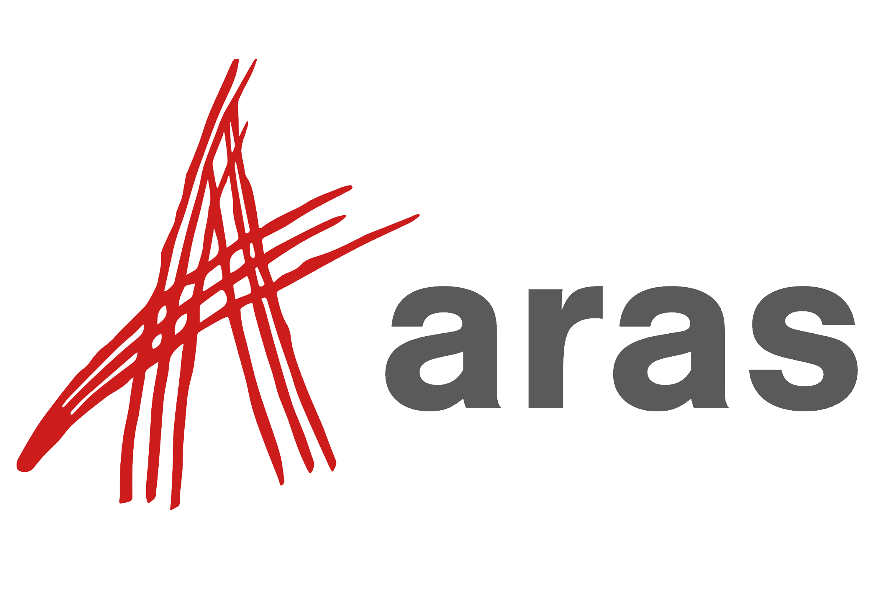 Aras logo