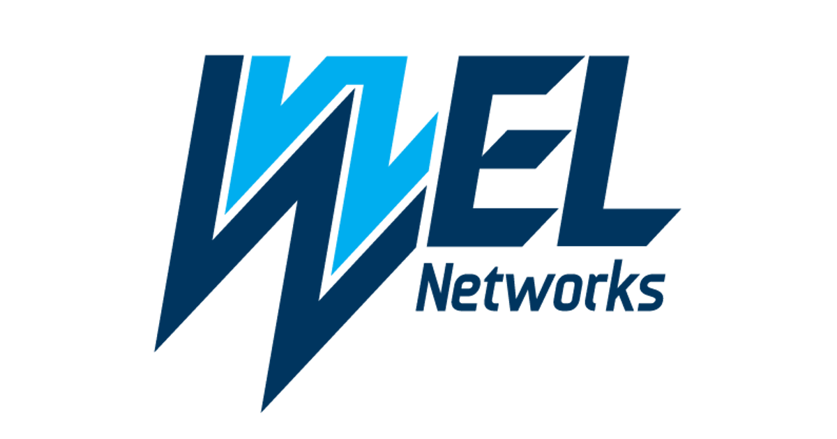 Welnetworks logo